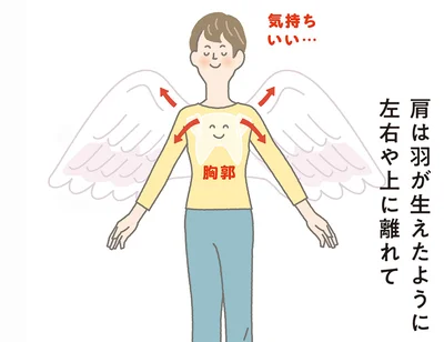 肩は羽が生えたように左右や上に離れて