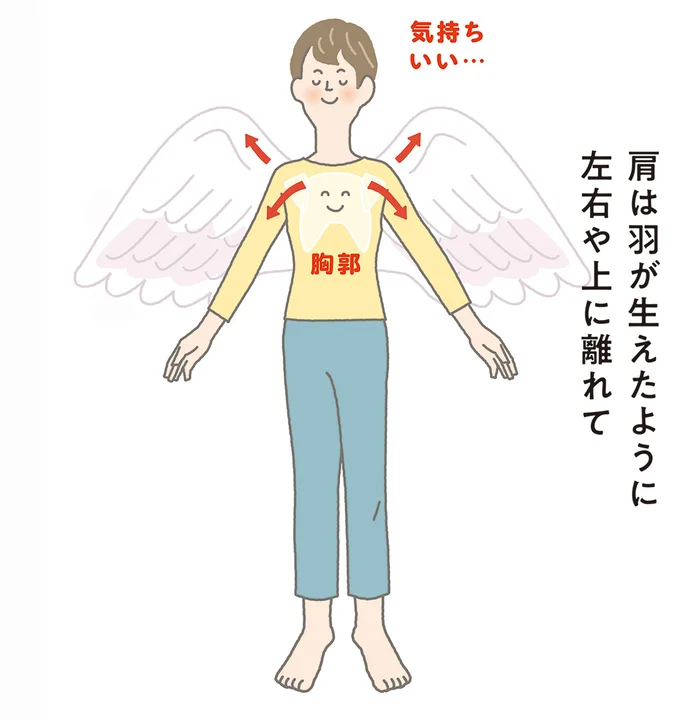 肩と腕がゆるむと背中の筋肉も同時にゆるむ