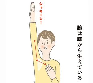 腕と胴体の境目を意識！ 腕を胸から使うと、肩の筋肉がやわらかくなる／イラスト見るだけ整体（6）