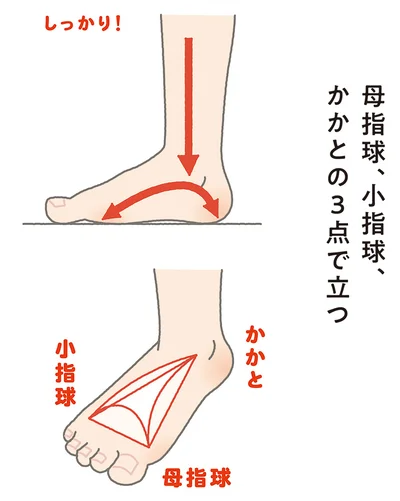 母指球、小指球、かかとの3点で立つ