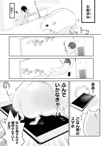 なんか知らんけど絶対ふんでいくよね！？
