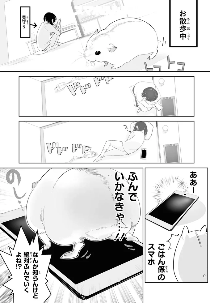 なんか知らんけど絶対ふんでいくよね！？