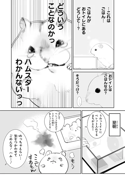 ハムスターわかんないっっ