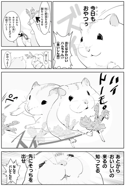あとからおいしいの来るの知ってる