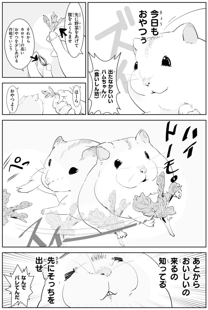 あとからおいしいの来るの知ってる