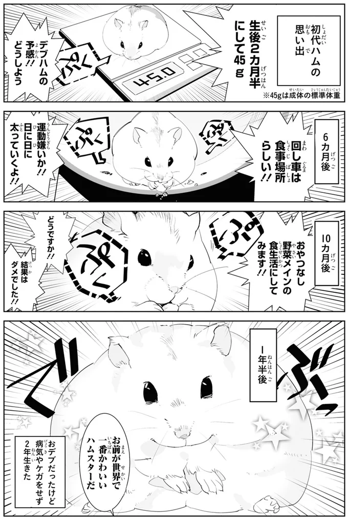 お前が世界で一番かわいいハムスターだ