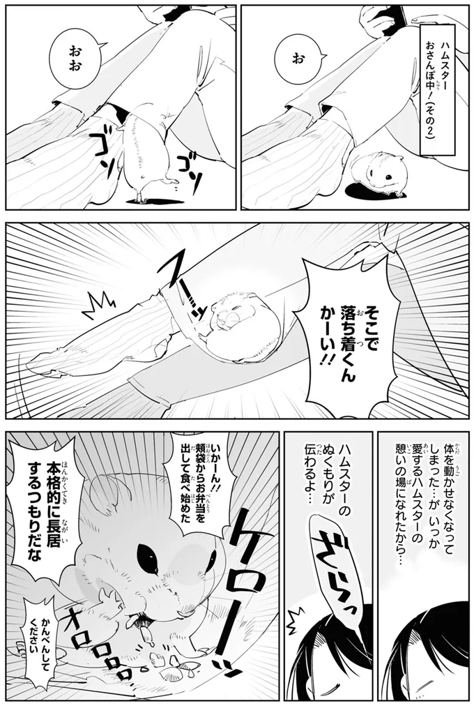 本格的に長居するつもりだな
