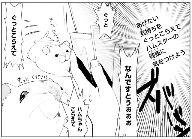 張り切ってハムスターのおやつを大量購入。ところが適量を知って衝撃が！／はむはむづくし（13）