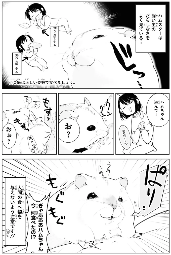 今　何食べたの！？