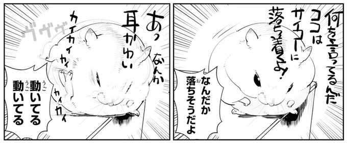 なんだか落ちそうだよ