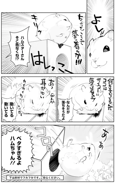 ハムスターさん　そこ危なくね！？