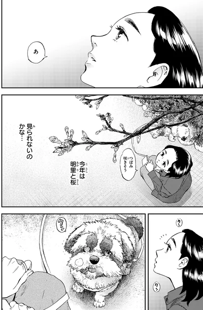 『ランチ酒1』より