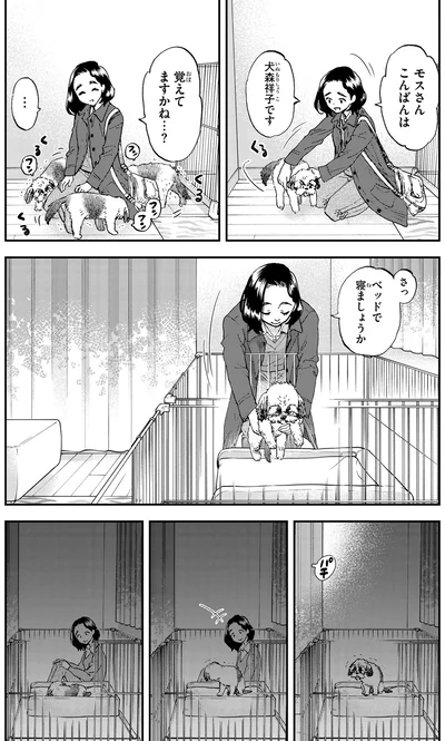 ベッドで寝ましょうか