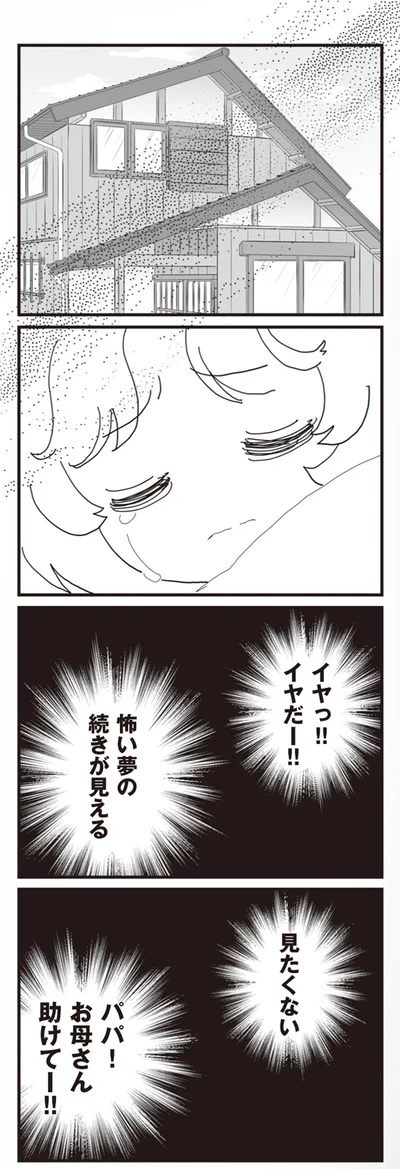『パパ、赤ちゃんが生まれないなら再婚してもいいよ』より
