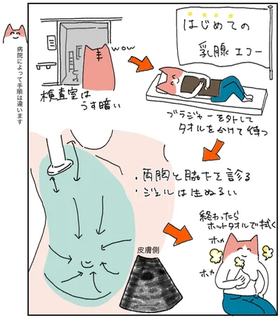 はじめての乳腺エコー