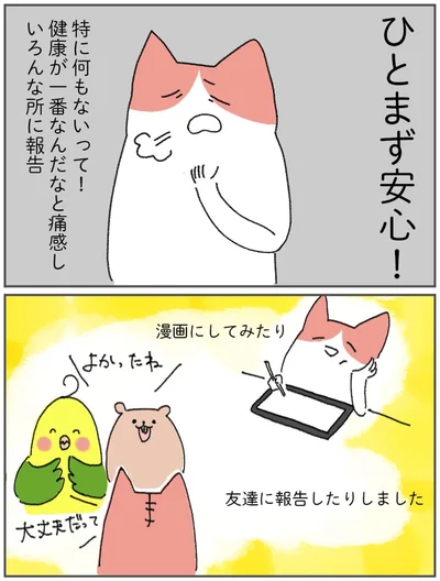 ひとまず安心！