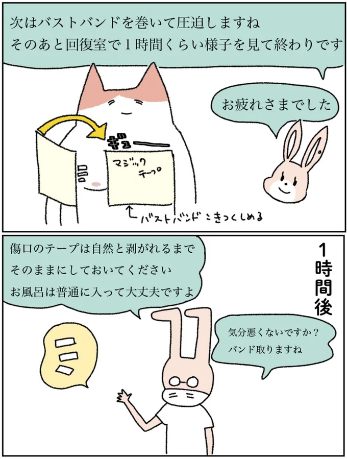 『アラサー会社員の乳がんの備忘録』より