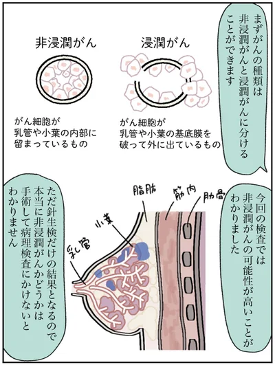 『アラサー会社員の乳がんの備忘録』より