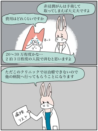 『アラサー会社員の乳がんの備忘録』より