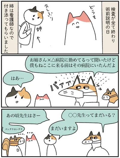 『アラサー会社員の乳がんの備忘録』より