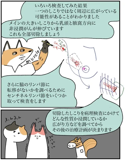 『アラサー会社員の乳がんの備忘録』より