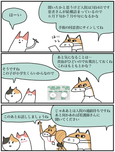 『アラサー会社員の乳がんの備忘録』より