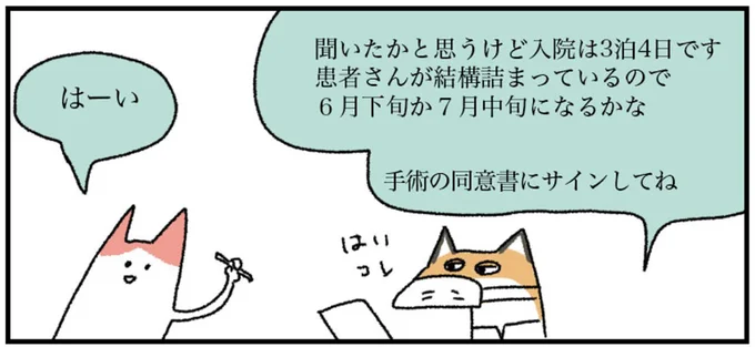 手術の同意書にサインしてね