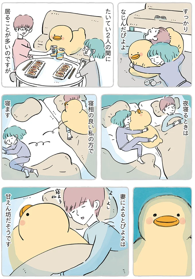 すっかりなじんだぴよよ