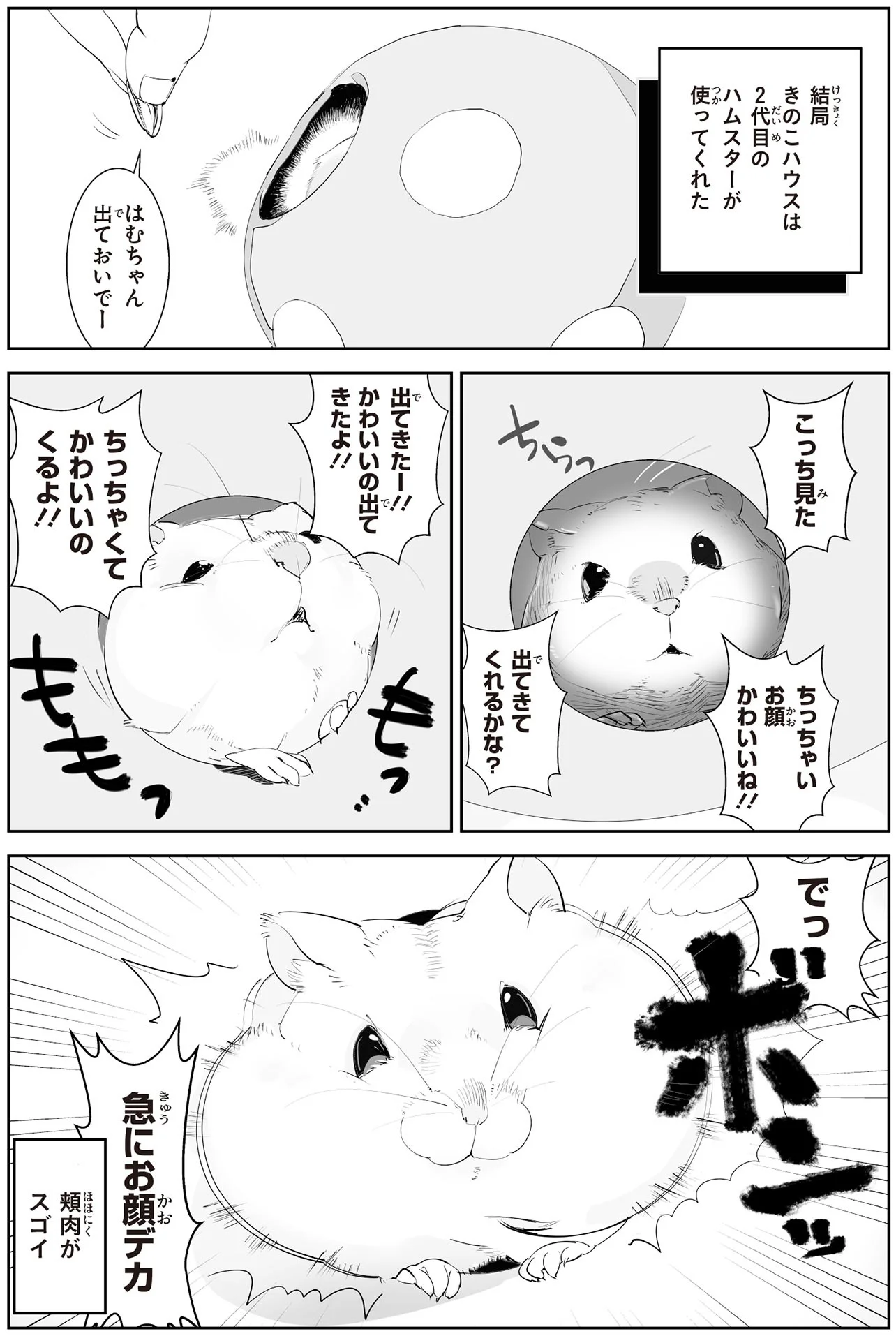 ハムスターにきのこ型のハウスを購入！ それなのに入るどころか