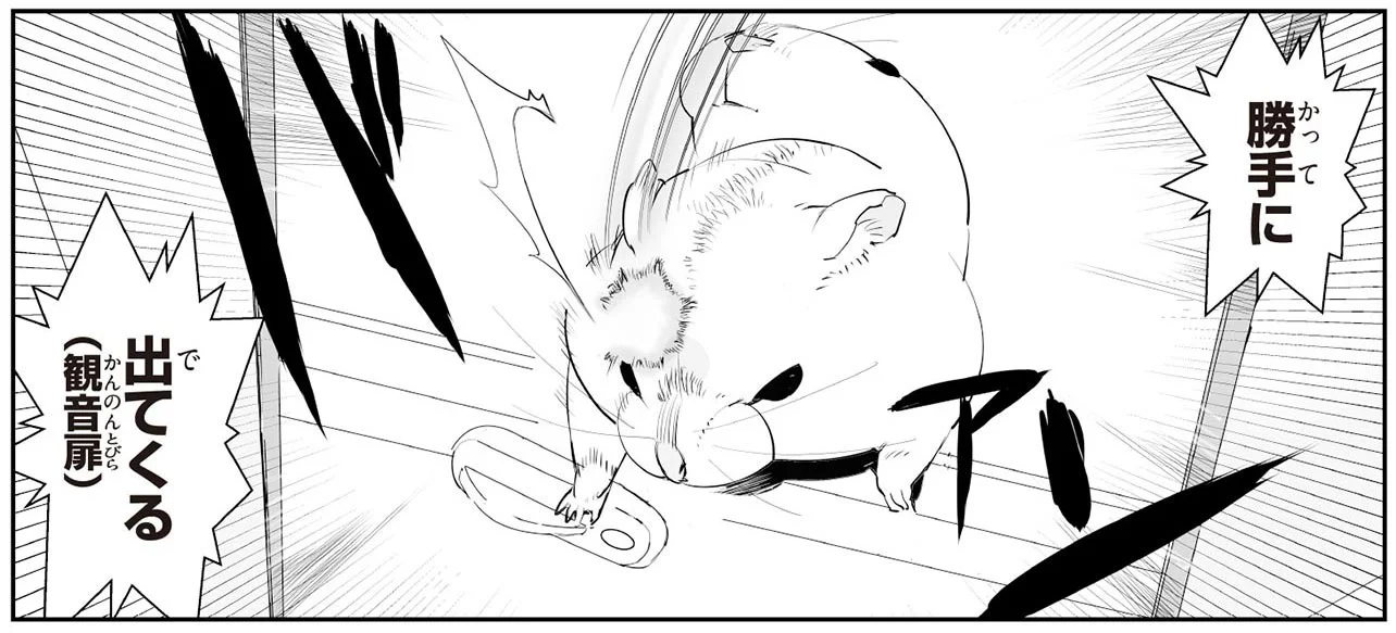 ケージから勝手に出てくるハムちゃん。準備万端整えて、お散歩の時間