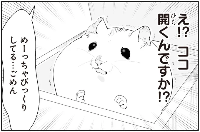 え！？ココ開くんですか！？