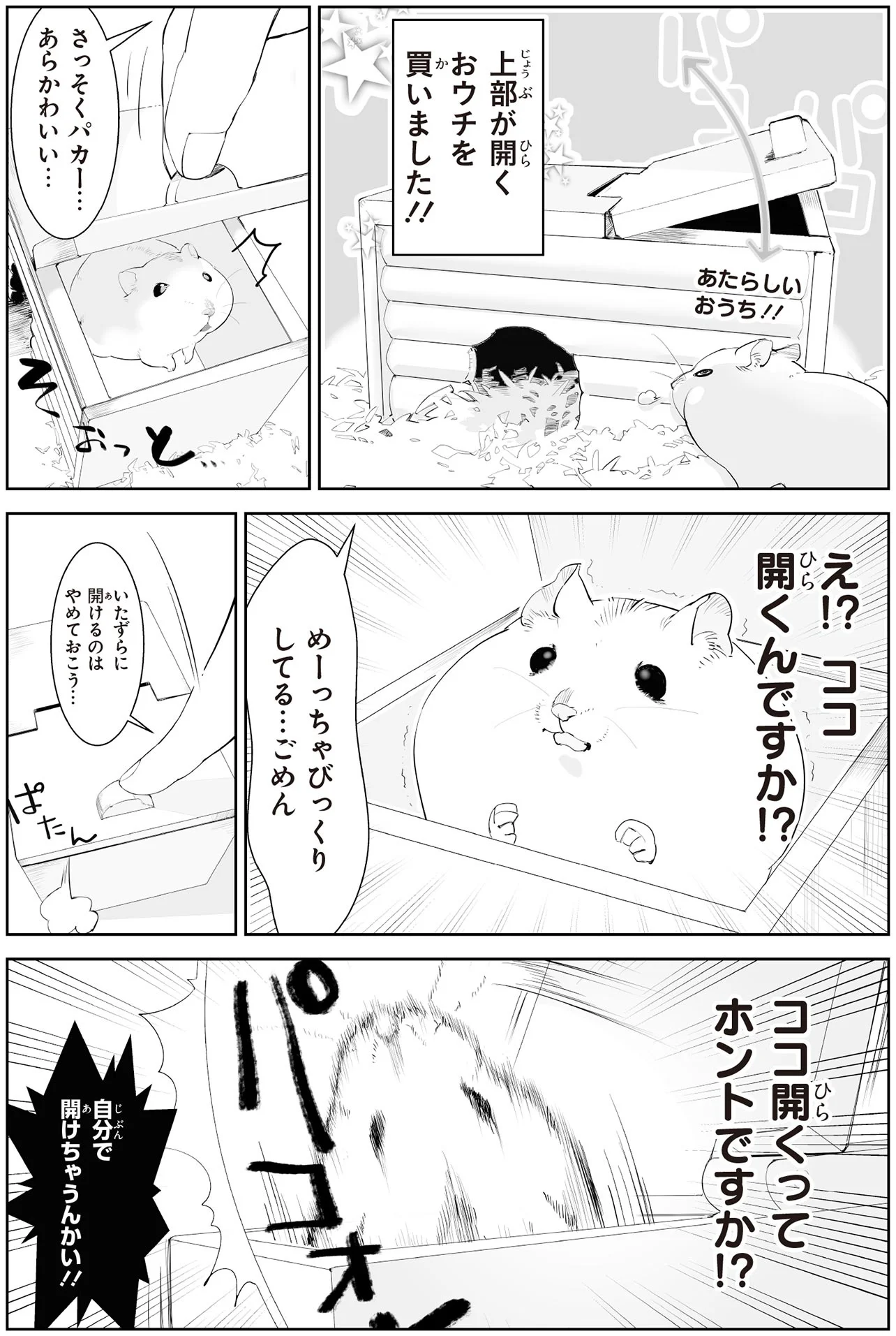新しいおウチに「え!?ココ開くんですか!?」上部が開く構造がハムちゃん