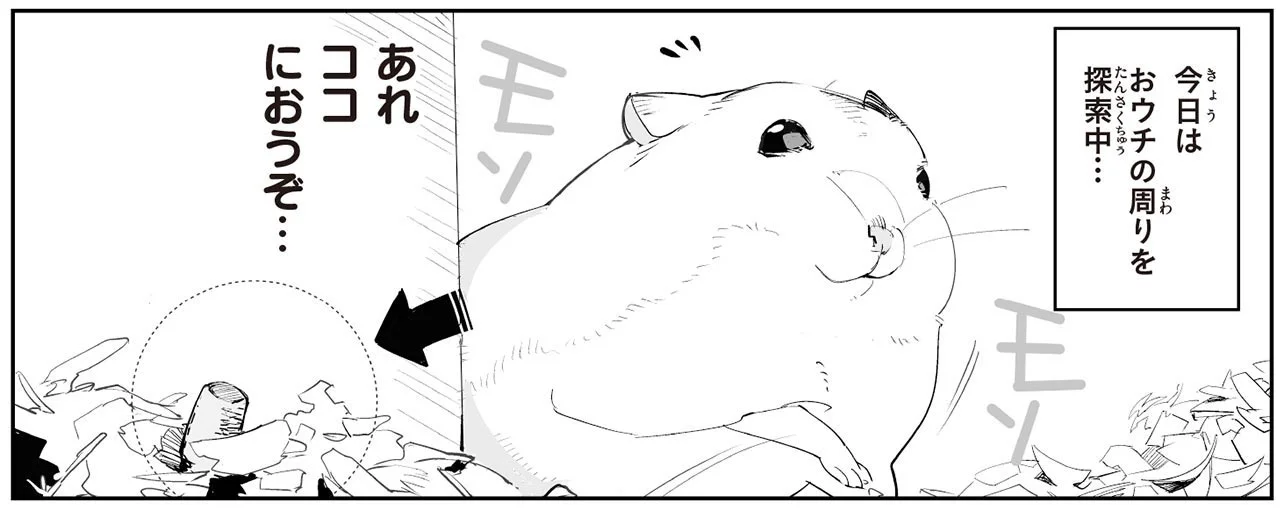 やったーごはん発見！ ってハムちゃん、それはもともと自分の貯蔵庫