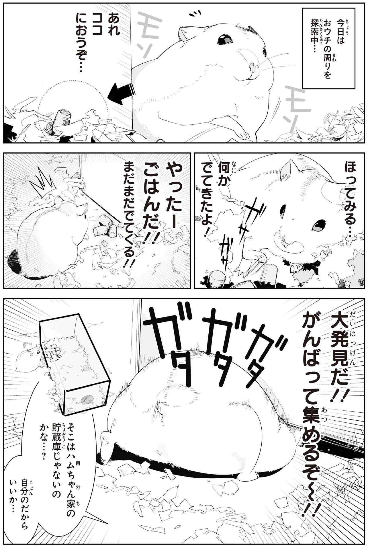 やったーごはん発見！ ってハムちゃん、それはもともと自分の貯蔵庫