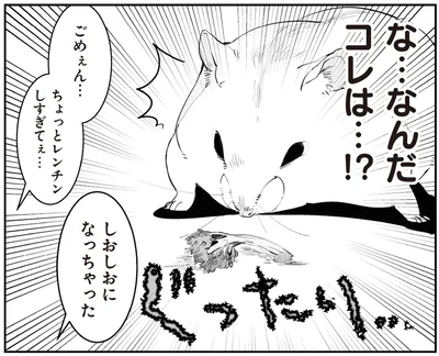 な…なんだコレは…！？