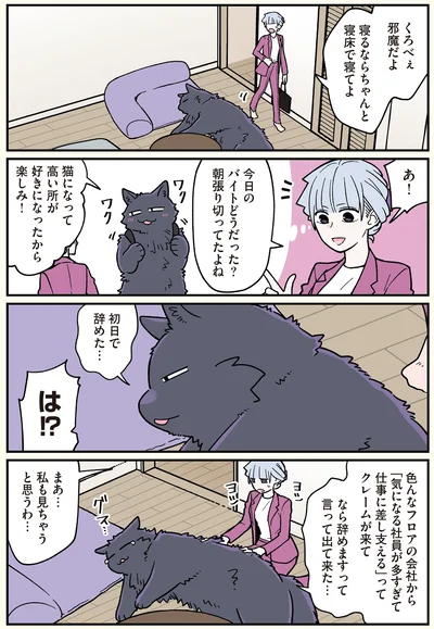 『ブラック企業の社員が猫になって人生が変わった話6 くろべぇの場合』より