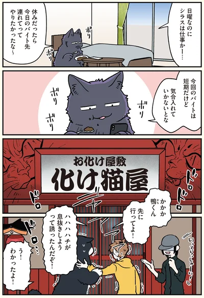 『ブラック企業の社員が猫になって人生が変わった話6 くろべぇの場合』より