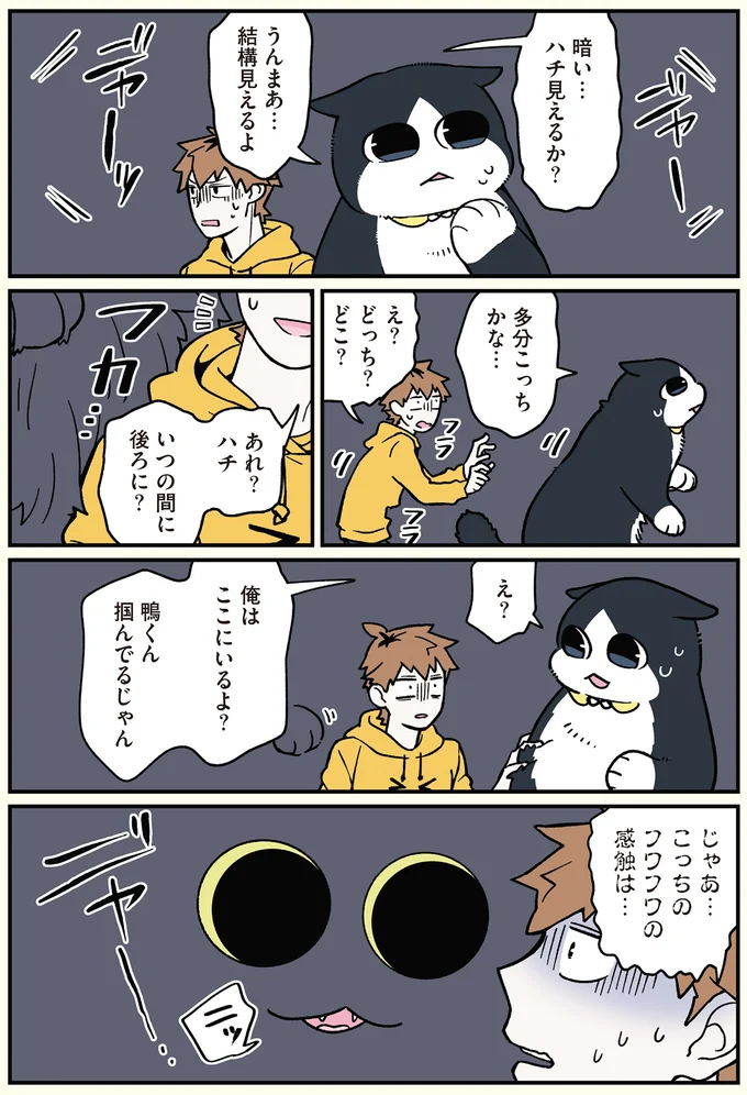 『ブラック企業の社員が猫になって人生が変わった話6 くろべぇの場合』より