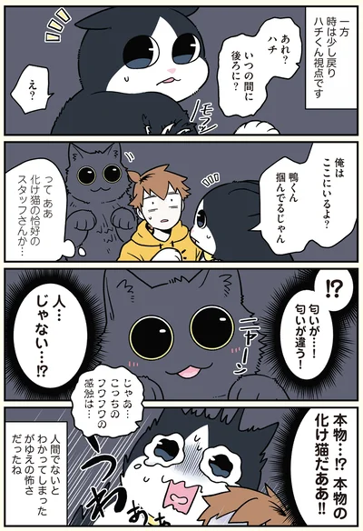 『ブラック企業の社員が猫になって人生が変わった話6 くろべぇの場合』より