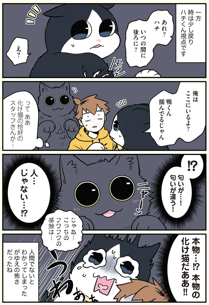『ブラック企業の社員が猫になって人生が変わった話6 くろべぇの場合』より
