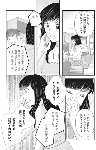 『ベランダに潜む裸の女 妹に夫も人生も奪われました1』より