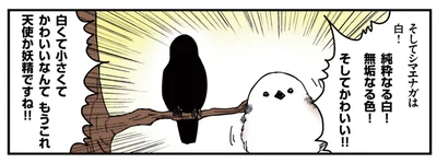 そしてかわいい！！