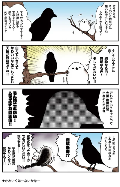 シマエナガは天使！！