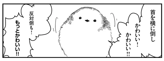 「まさか第二もあるのか？」 どこからどう見てもかわいい「シマエナガ体操第一」／永久機関シマエナガ（4）