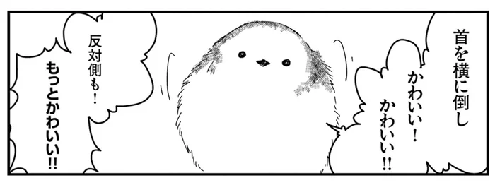 「まさか第二もあるのか？」 どこからどう見てもかわいい「シマエナガ体操第一」／永久機関シマエナガ（4）