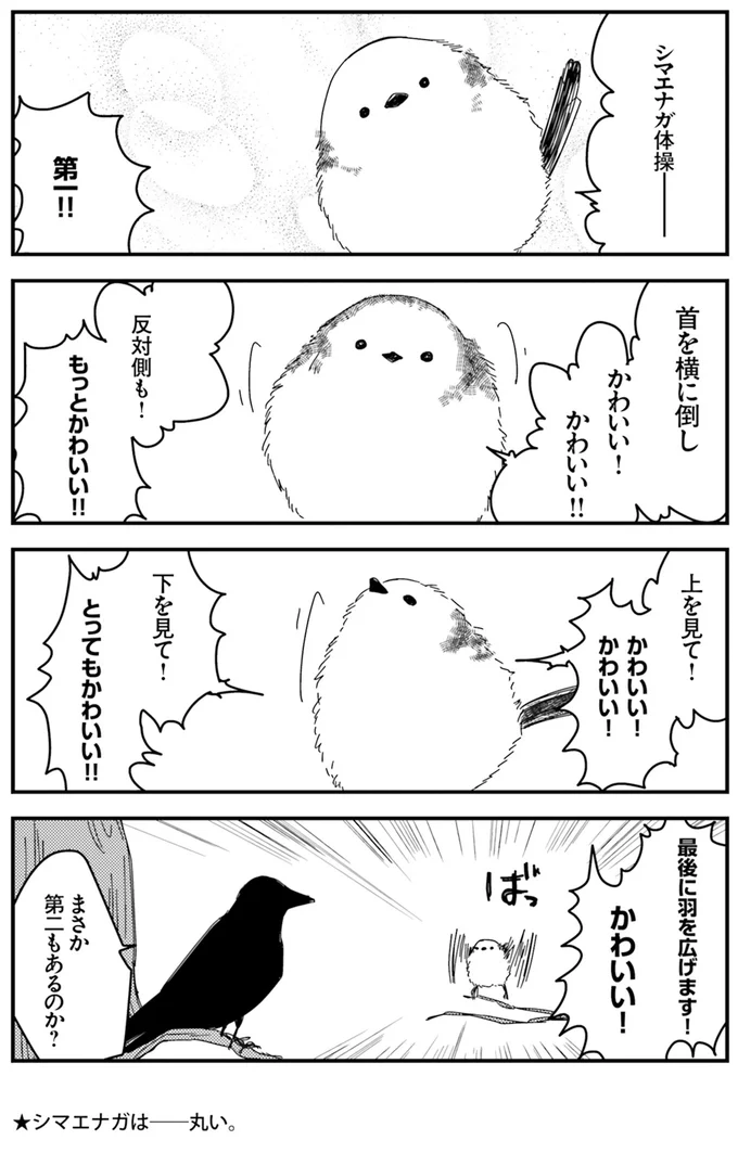 まさか第二もあるのか？