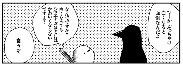 「カラスさんはなんで黒いんですか？」シマエナガの素朴な疑問への答えは／永久機関シマエナガ（5）