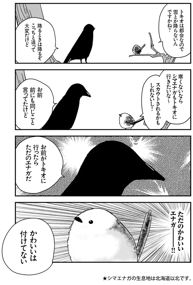 かわいいは付けてない