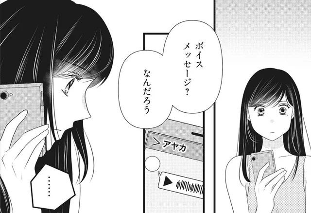 妹の暴挙を説得しに行ったはずが!?送られてきたボイスメッセージから聞こえてきたもの／妹に夫も人生も奪われました（5）