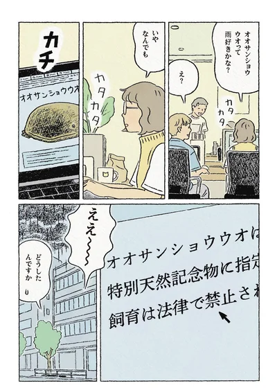 『わたしの夢が覚めるまで』より